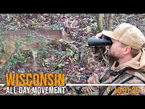 Wisconsin Halloween Deer Hunt | Nonstop Deer Action All Day!