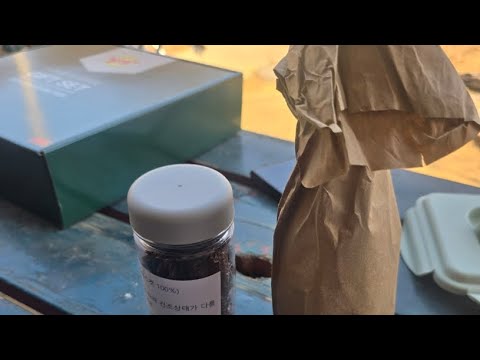 LIVE｜정순언니 만나다