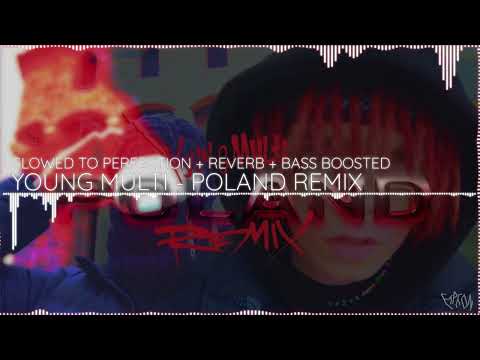 YOUNG MULTI - POLAND REMIX [SLOWED + REVERB + BASS BOOSTED]