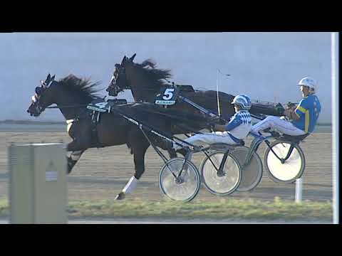 Napoli Trotto 02/07/2023 - 1ª corsa