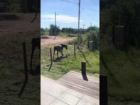 CASA EN VENTA ESCRITURA PILETA RUMIPAL VISTA A LAS SIERRAS #destinoinmobiliario