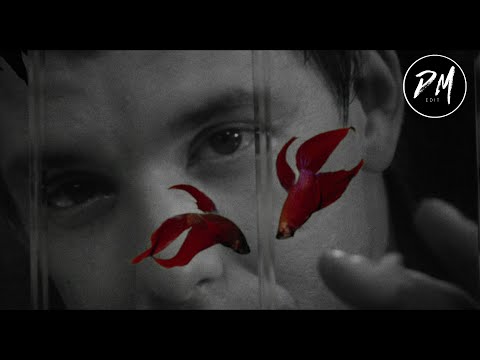 Rumble Fish (1983) Trailer