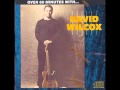 David Wilcox:  Bad Apple