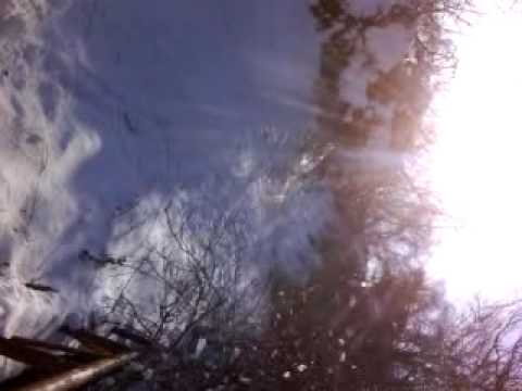 sanius la campia 2.MP4