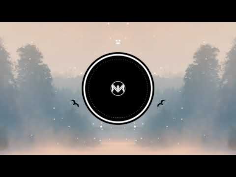 Cuebrick & Newclaess ft. Maliah - Fly (Extended Mix)