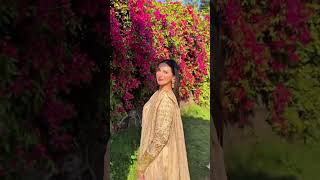 Beige Embroidered Khaddi Net Suit - Video 1