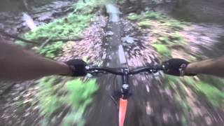 March of the Damned   Stab Trails