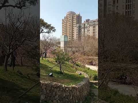 20230218 Parque Hsinchu Lichi