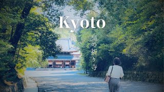 泉涌寺 今熊野観音寺 新日吉神宮 チーズとろとろハンバーググラタン  / Imakumanokannnonnji / Sennyuji / Imahiejingu / Kyoto