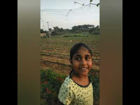 Wow😍 All Plants in one Garden❤️ #Flower #vegetable #cultivation  #Garden❤️