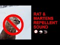 ️ High Pitch Wall Penetration Mouse Rat Mice Ultra Sounic Repellent Sound 10 HOURS WORKING