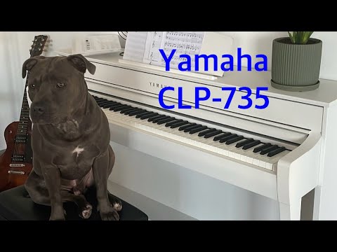 Yamaha Clavinova CLP-735 unboxing and assembly.