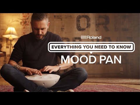 Roland Mood Pan | Everything You Need to Know