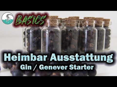 Basics der Heimbar - Hintergrundwissen Gin/Genever Starter Level