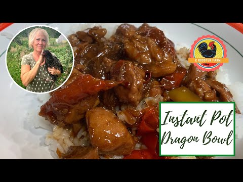 Instant Pot Chicken Dragon Bowl β Simply Delicious.