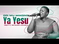 Ori Omu Mikono Ya Yesu