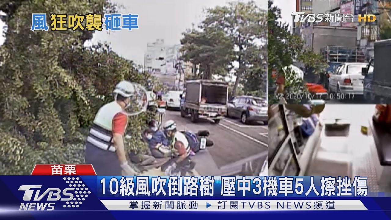 10級風吹倒路樹　壓中3機車5人擦挫傷