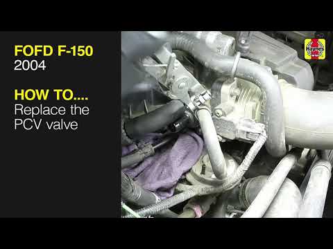 Ford F-150 Heritage (2004 - 2004) - Replace the PCV valve