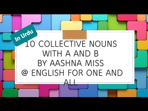 10 collective nouns with A & B letter#shorts  | by aashna miss