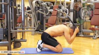 Kneeling cable crunch exercise video thumbnail