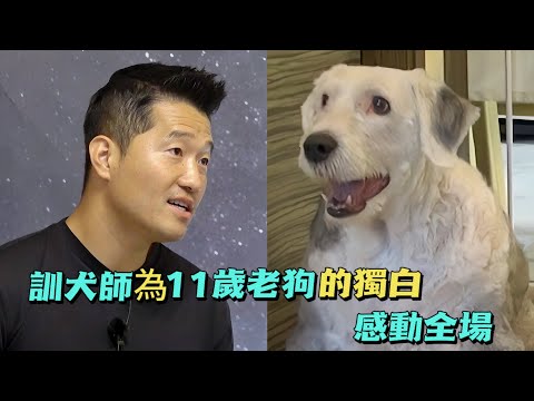 動物象徵