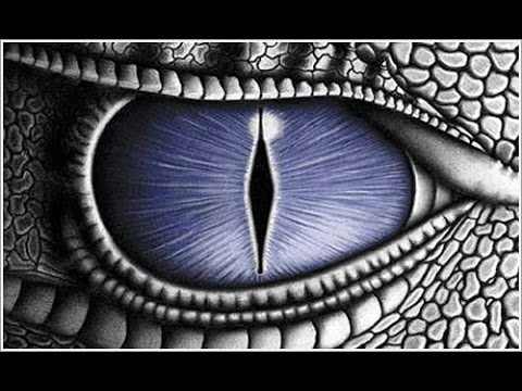 LOS DRACOS NOS OBSERVAN