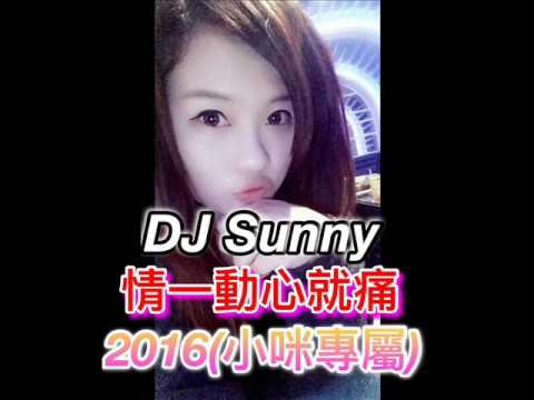 DJ Sunny - 情一動心就痛 2016(小咪專屬)
