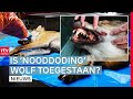 Na afschieten pas de wet gecheckt & Yorneo-rechtszaak dag 2 | Drenthe Nu
