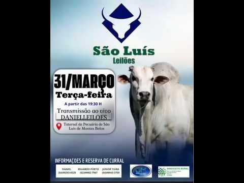 São Luis de Montes Belos - GO   31/03/2026