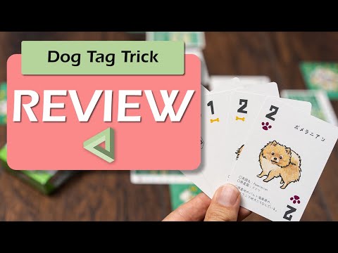 Dog Tag Trick on the Bottom Shelf