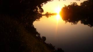 The Rose - Bette Midler (live)