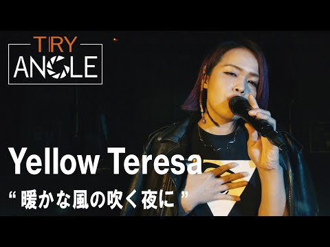 TRY-ANGLE vol.74 Yellow Teresa LIVE SHOW "暖かな風の吹く夜に"
