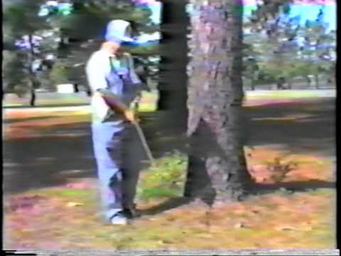 ol country pro chapter 2.m4v