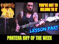 PANTERA 'RIFF OF THE WEEK' #14 - YOU'VE GOT TO BELONG TO IT -  Main Whammy Riff 🔥 Lesson Part