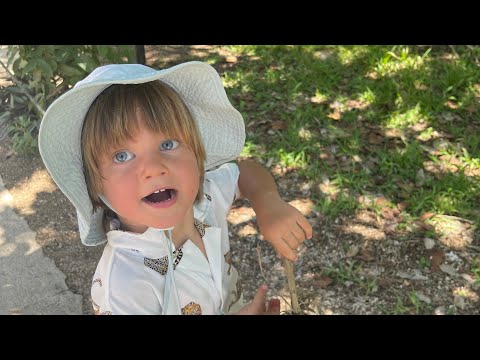 The best 7 days family friendly itinerary in Cancun, Mexico