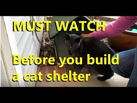 Building a feral cat shelter?  Watch this first!