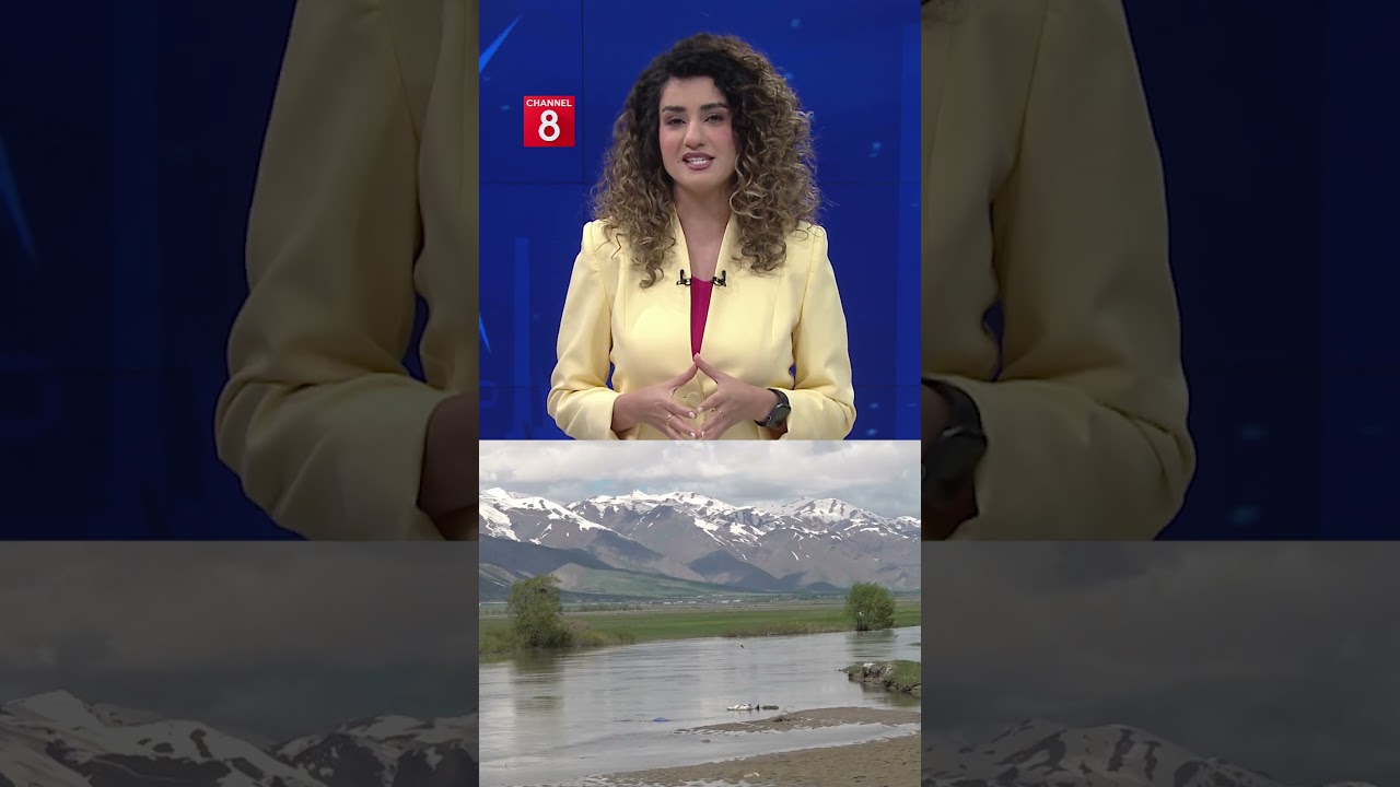 ڤیدیۆ | تا ئێستا باڵندەی زۆنگا نەهیلت بینیوە؟ هێندەی تر سروشتی جۆلەمێرگی جوانتر کردووە