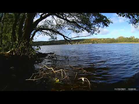 Domysłów 23-10-2021 rok