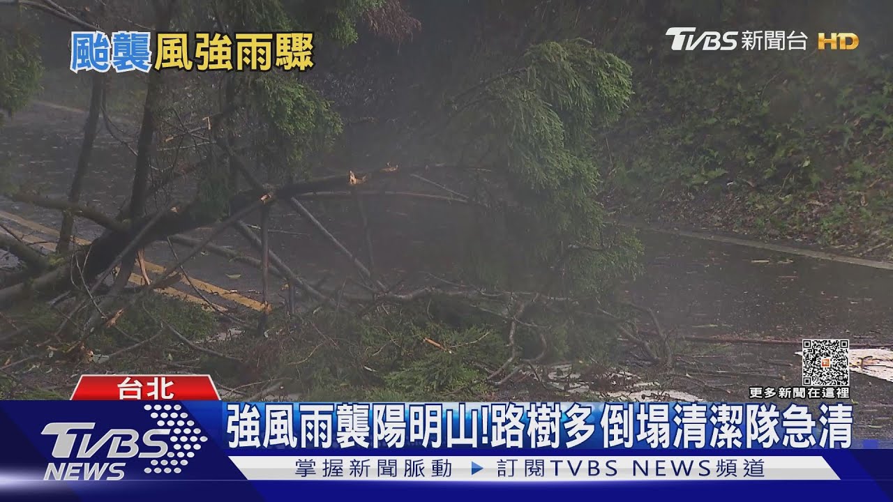 卡努發威「站不住」 陽明山颳11級強陣風