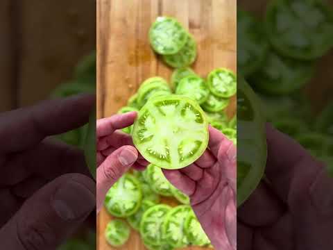 This is what you should be doing with your green tomatoes #tomato #pickles
