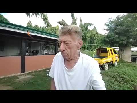 Piggery Philippines