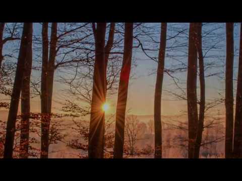 Our Hearts As One 1   Peter Sandberg