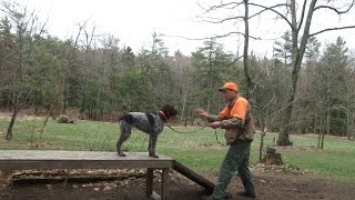 Enseñando los respetos con Jason Carter - Parte 1