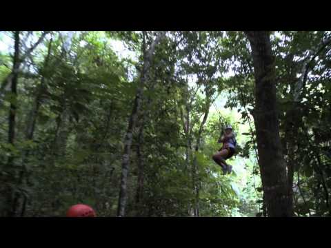 Chukka Zipline Canopy com Dunn's River Falls