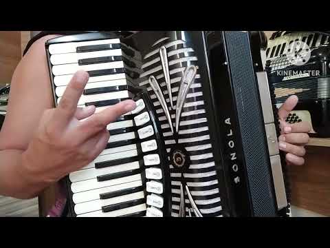 Vídeo Aula Acordeon "Pau que dá Cavaco" João Luiz Corrêa