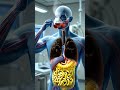 What Happens When You Drink Tea On An Empty Stomach Vs After A Meal 3D Digestive Animation