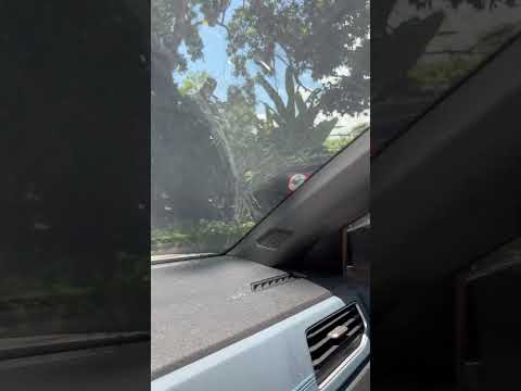 #bahia #apuarema #natureza #cachoeira