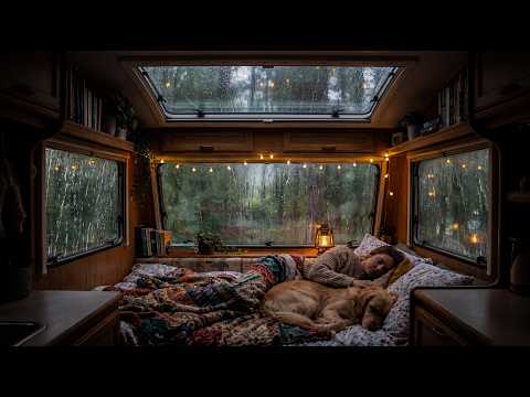 ⛈️ Cozy Forest Rain on Camper Roof 🌩️ Torrential Rain & Thunder for Deep Sleep | Car ASMR