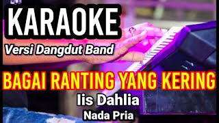 Download lagu BAGAI RANTING YANG KERING - Iis Dahlia | Karaoke dut band mix nada pria | Lirik mp3