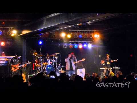 The Wailers Live Concert Atlanta 2014